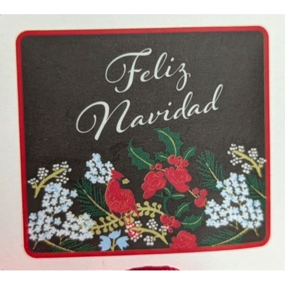 Christmas Cardinal Feliz Navidad Dish Drying Mats 2pc Reversible Red Kitchen NEW